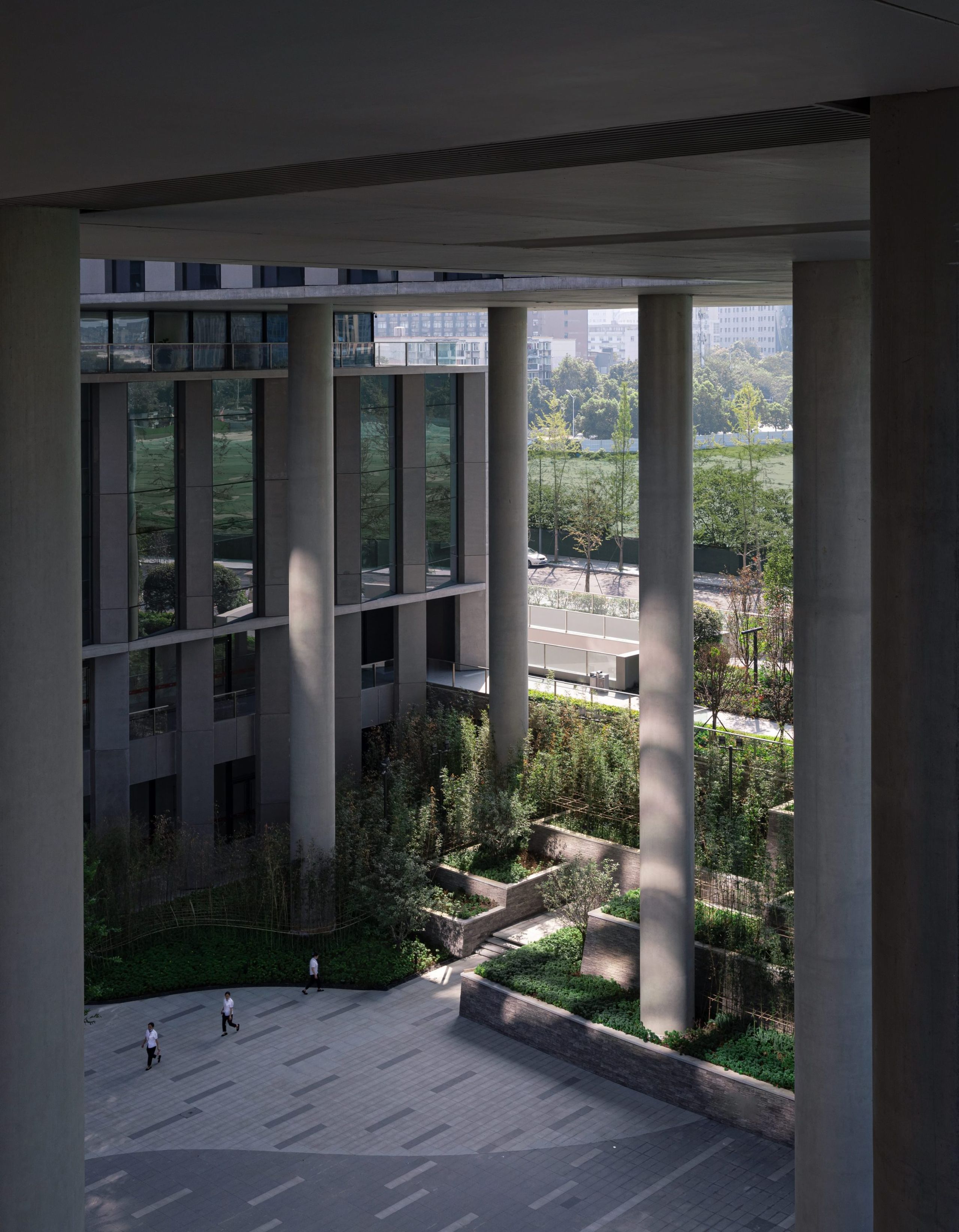 京东集团西南总部大厦 - 项目 - gmp Architekten